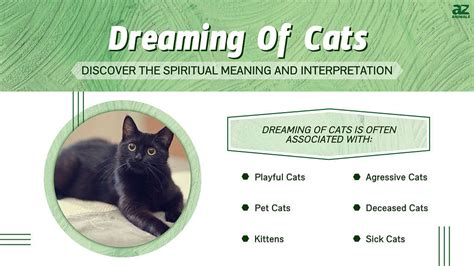 Exploring the Hidden Meanings of a Cat's Distressful Dream