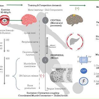 Exploring the Influence of Violent Nightmares on Behavior: Translating Thoughts into Actions