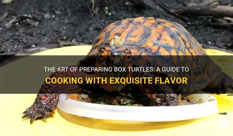 Exploring the Intricacies of Preparing Turtle Meat: An Exquisite Gastronomic Journey