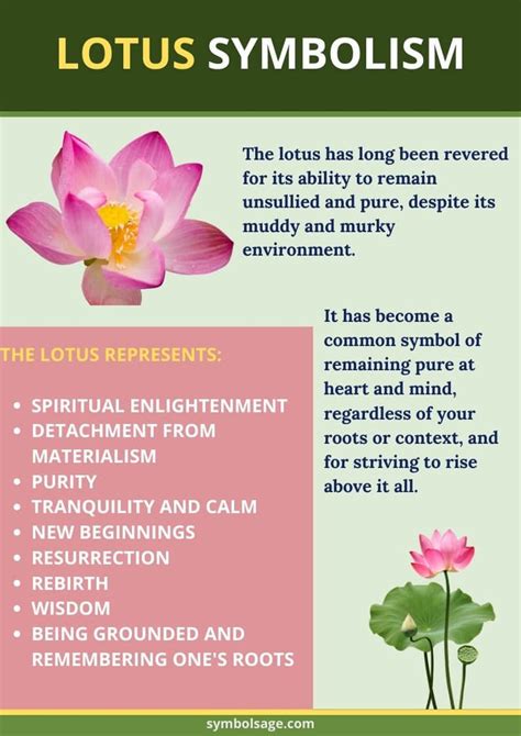 Exploring the Lotus in Various Religious Beliefs