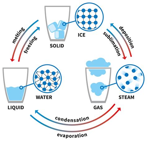 Exploring the Metamorphosis: From Solid to Liquid