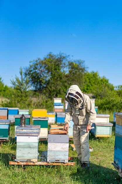 Exploring the Mystical World of Beehives