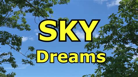 Exploring the Possible Causes and Interpretations of Overcast Sky Dreams