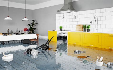 Exploring the Possible Significance of Flooded Kitchens: Delving into the Potential Meanings