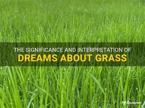 Exploring the Possible Significance of Grass Water Dreams