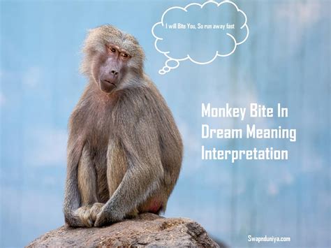 Exploring the Potential Impact of Monkey Dreams on Decision-Making