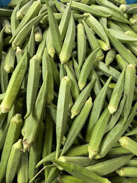 Exploring the Potential Role of Okra in Enhancing Your Personal Growth