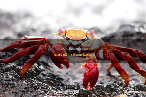 Exploring the Profound Significance of Dreaming about Crabs