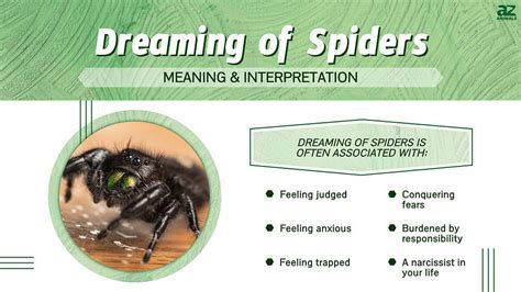 Exploring the Psychological Interpretation of Spider Bite Dreams