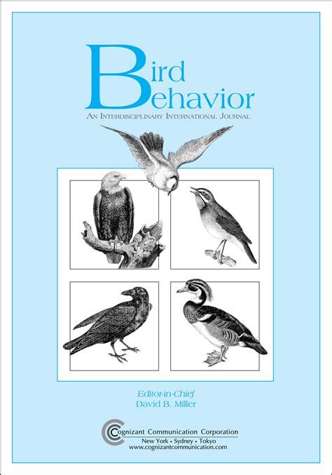 Exploring the Psychological Interpretations of Dreaming about Avian Excretion