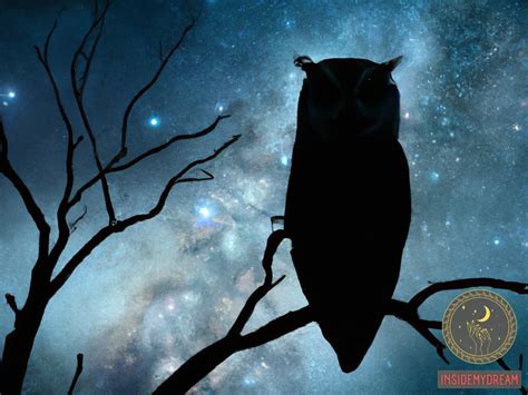 Exploring the Psychological Interpretations of Dreams Featuring Owls