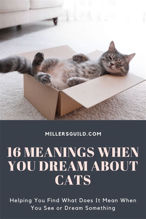 Exploring the Psychological Meanings of Dreaming About Felines