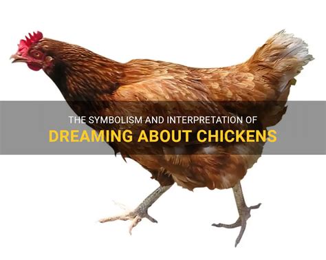 Exploring the Psychological Significance of Dreaming About Chickens