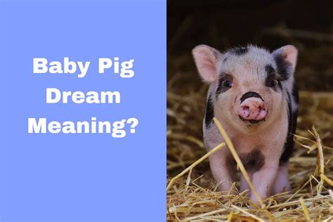 Exploring the Psychological Significance of Dreaming about a Young Swine