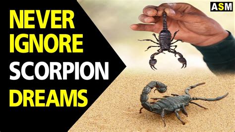 Exploring the Psychological Significance of Dreaming of an Infant Scorpion