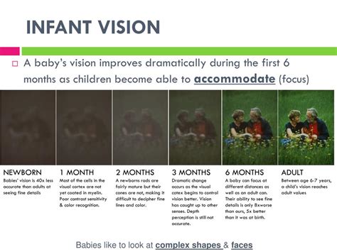 Exploring the Psychological Significance of an Articulate Infant Vision