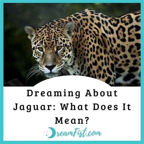 Exploring the Psychology behind Experiencing a Jaguar Pursuit in Dreams