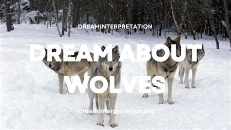 Exploring the Representation of Wolves in Dreams