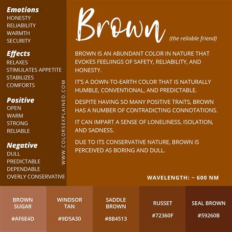 Exploring the Rich Symbolism of the Color Brown