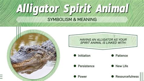 Exploring the Significance of Alligator Numbers in Dreams: Unveiling Personal Anxieties and Obstacles