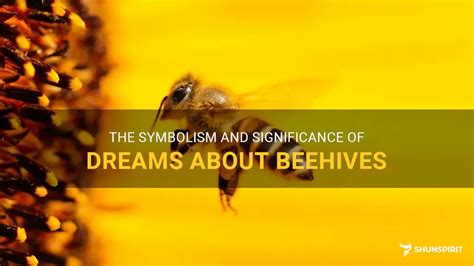 Exploring the Significance of Beehives in the Interpretation of Dreams