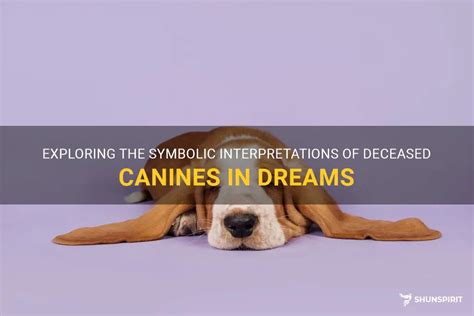 Exploring the Significance of Canines in Interpreting Dreams