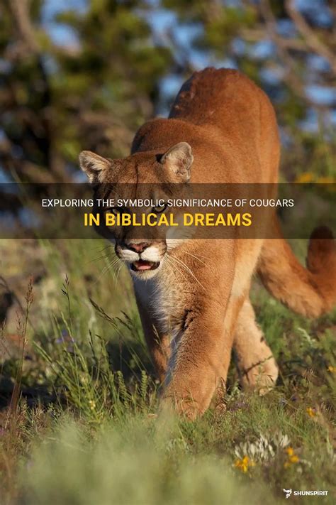 Exploring the Significance of Cougar Dreams: Uncovering the Deeper Messages