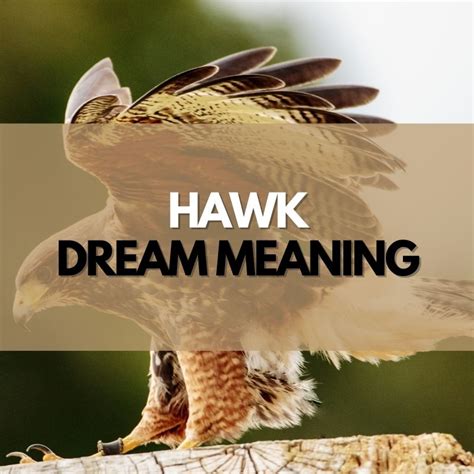 Exploring the Significance of Recording Dream Experiences to Unveil the Interpretations of Hawk Assault Night Visions