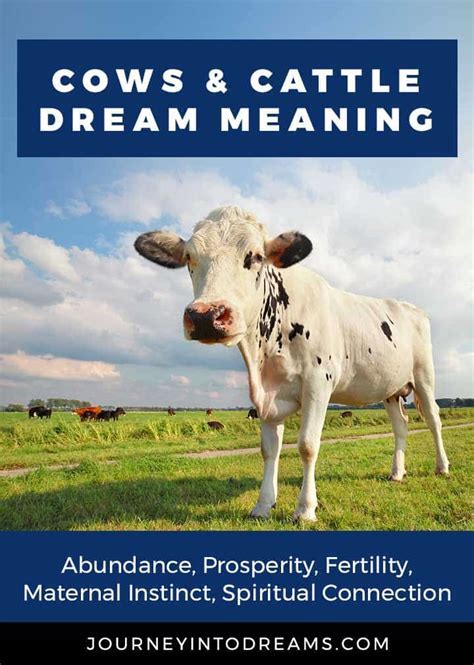 Exploring the Significance of a Young Bovine in the Analysis of Dreams