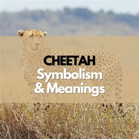 Exploring the Significance of the Cheetah Symbol