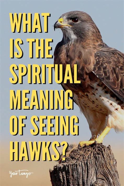 Exploring the Spiritual Significance of Hawk Reveries