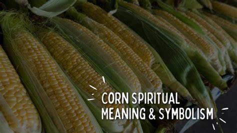 Exploring the Spiritual and Cultural Symbolism of Maize