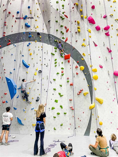 Exploring the Surge in Popularity of Climbing Wall Sports