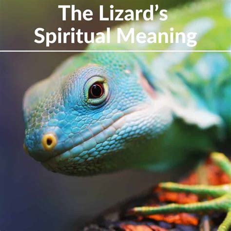 Exploring the Symbolic Interpretation of Lizard Descending on Mind in Visions