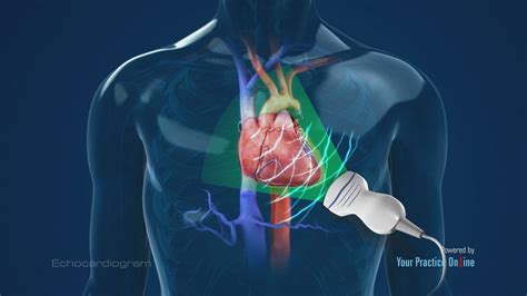 Exploring the Symbolic Meaning Behind a Cardiac Procedure