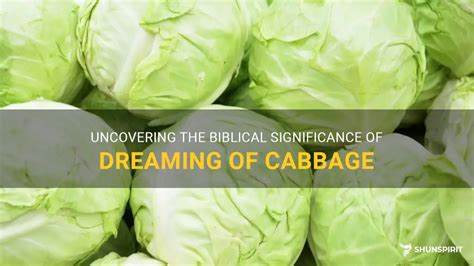 Exploring the Symbolic Meaning of Cabbage in Dreams