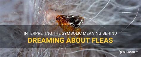 Exploring the Symbolic Meaning of Dreaming about Deceased Fleas