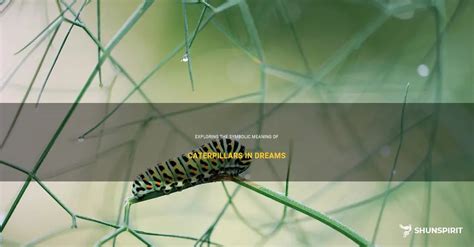 Exploring the Symbolic Meanings of a Caterpillar's Movement in Dreams