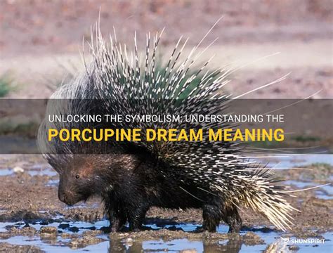 Exploring the Symbolic Nature of Porcupines in Dreams