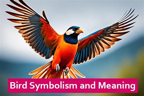 Exploring the Symbolic Significance of Avian Domiciles