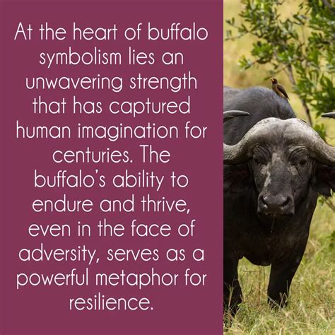 Exploring the Symbolic Significance of Buffalo Dung: Reflecting on Fertility, Growth, and Transformation