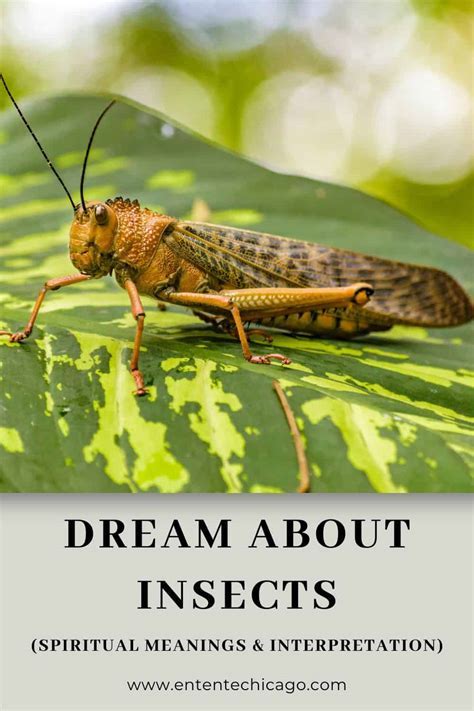 Exploring the Symbolic Significance of Bugs in the Realm of Dream Interpretation