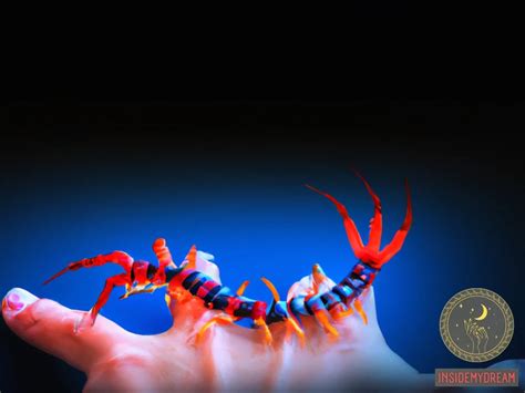 Exploring the Symbolic Significance of Centipede Bites in Dreams