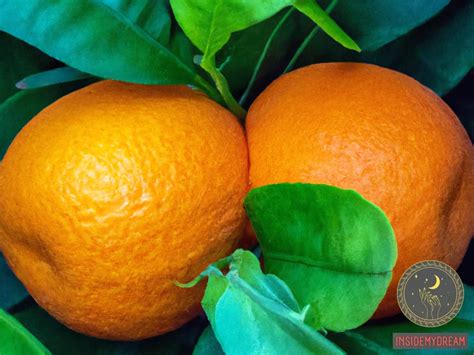 Exploring the Symbolic Significance of Indulging in the Juicy Tang of Oranges