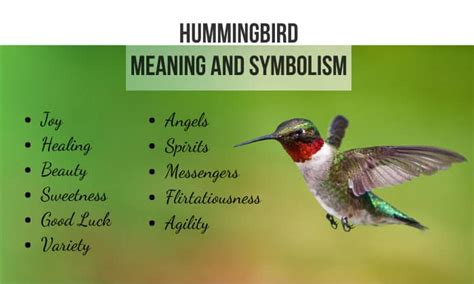 Exploring the Symbolic Significance of a Sapphire Hummingbird