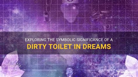 Exploring the Symbolic Significance of the Toilet