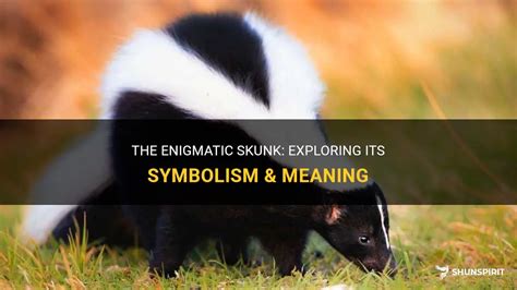 Exploring the Symbolism Behind the Enigmatic Encounter: Decoding the Meaning of Skunk Spray in the Realm of Dreams