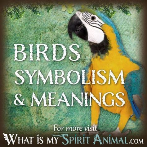 Exploring the Symbolism of Avian Creatures in Various Cultures