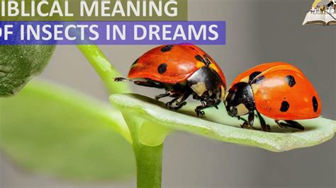 Exploring the Symbolism of Bug and Insect Dreams