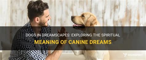 Exploring the Symbolism of Canines in Dreamscapes